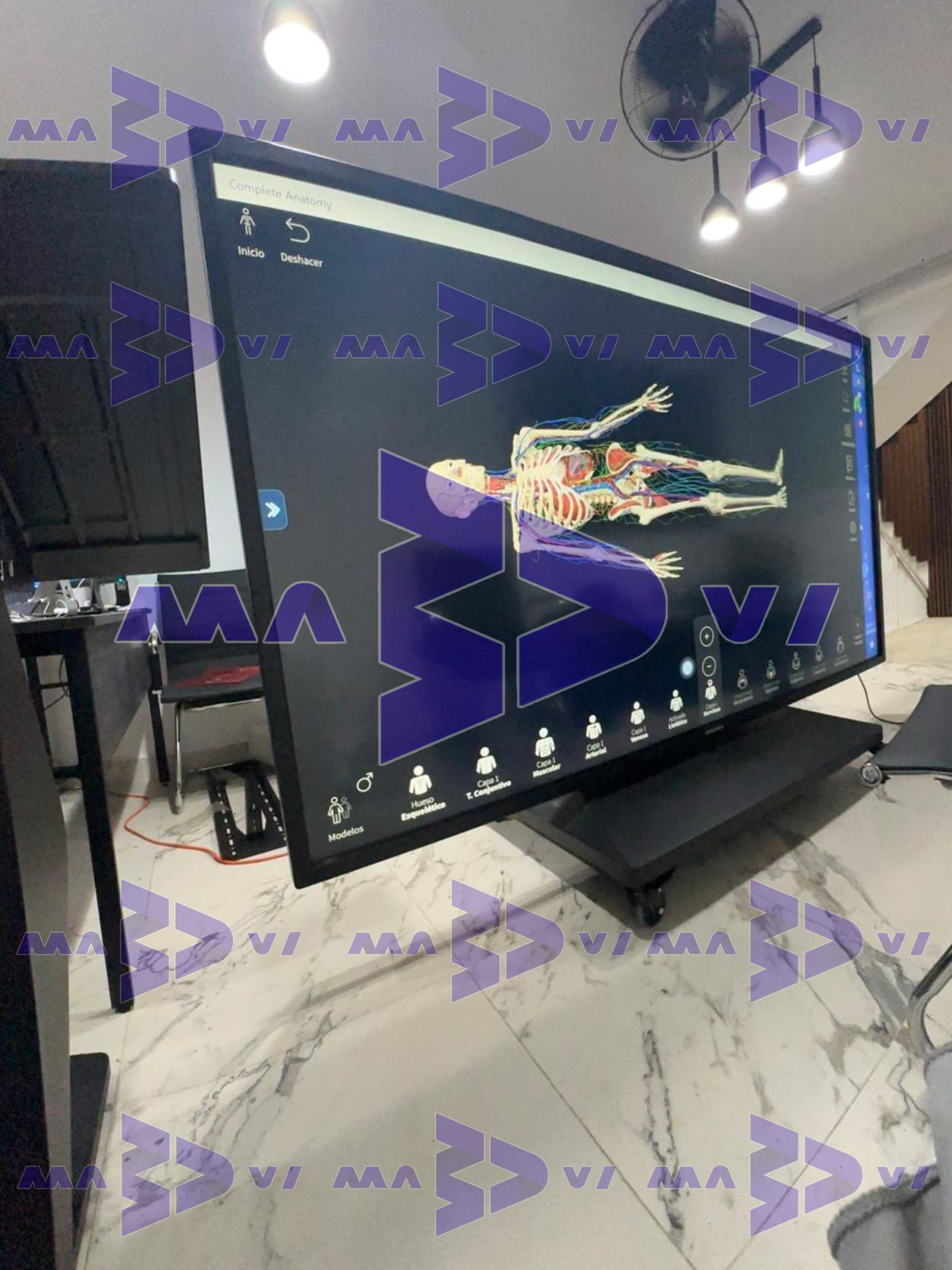 ANATOMÍA DIGITAL - Imagen 3