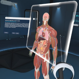 LIVE - VR - ANATOMÍA HUMANA - LICENCIATURA EN MEDICINA, MÉDICO CIRUJANO - ENFERMERÍA - SALUD