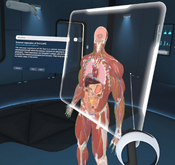 LIVE - VR - ANATOMÍA HUMANA - LICENCIATURA EN MEDICINA, MÉDICO CIRUJANO - ENFERMERÍA - SALUD